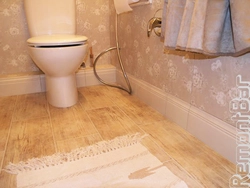 Bathroom floor plinth on tiles photo