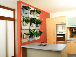 Flower In The Kitchen Interior