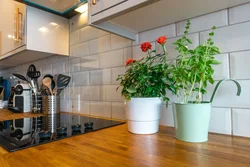 Flower in the kitchen interior