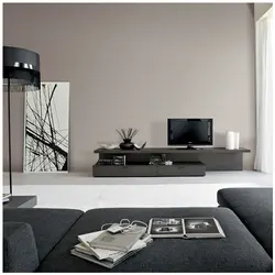 What color of furniture is now in fashion for the living room photo