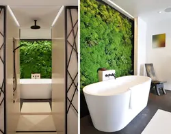 Moss In The Bathroom Interior Photo