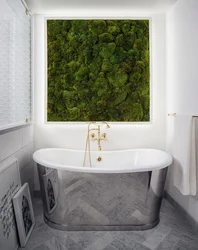 Moss in the bathroom interior photo