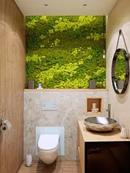 Moss in the bathroom interior photo