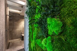 Moss in the bathroom interior photo