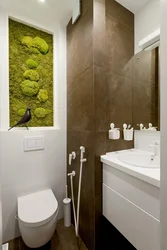 Moss in the bathroom interior photo