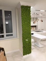 Moss in the bathroom interior photo