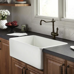 Countertop sink in the kitchen photo