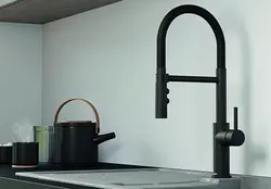 Kitchen Design With Black Faucet