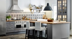 Ikea Budbin Gray Kitchen In The Interior