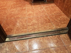 Bathroom doors with threshold photo