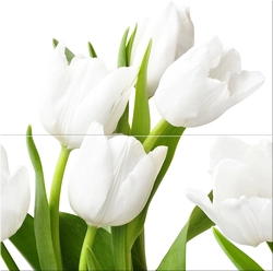 Bath design with tulips