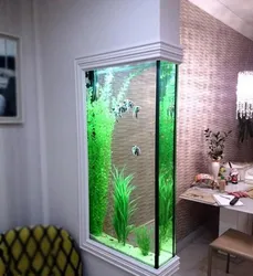 Akvarium Bilan Koridor Dizayni