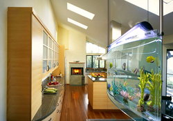 Hallway design with aquarium