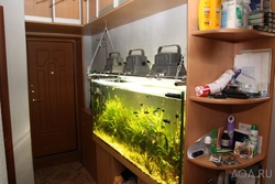 Hallway design with aquarium