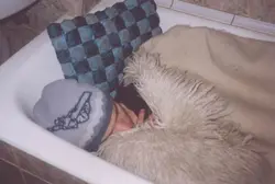 Photo sleeping in the bathroom