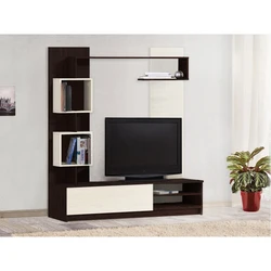 Modern Mini Living Rooms Photos
