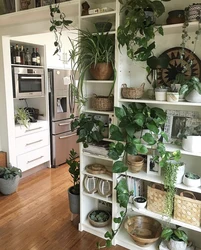 Flower shelf for the kitchen photo