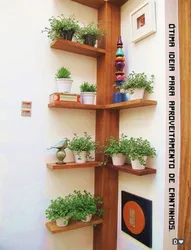 Катэгорыя 