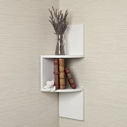 Corner shelves on the wall in the hallway photo