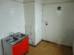 Garbage disposal in the kitchen in Stalin style photo