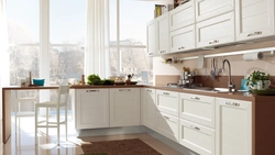 White kitchen in the interior reviews