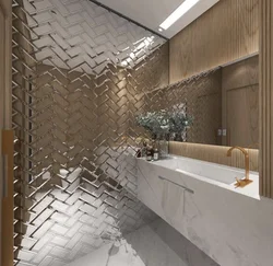 Glass In Bathtub Interiors