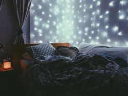 Фотография вечер спальням