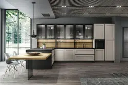 Kitchens With Metal Facades Photos