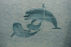 Delfin vannasi dizayni