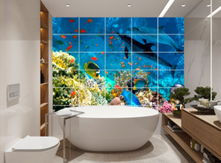 Dolphin bath design